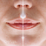 Multi-4 Pack Stage Balm For lips - FanLoveBeauty Empowers Confidence Through Beauty