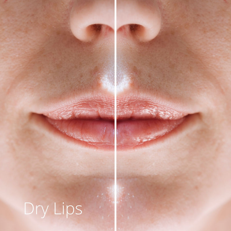 Original Label: 3 + 1 FREE Untinted Stage Balm for Lips